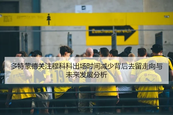 多特蒙德关注穆科科出场时间减少背后去留走向与未来发展分析